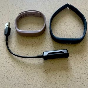 Fitbit with 2 bands